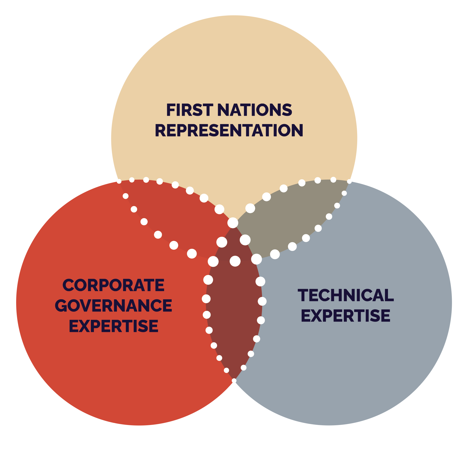 A venn diagram shows First Nations Representation, Corporate Governance Expertise, and Technical Expertise intersecting equally as three large circles